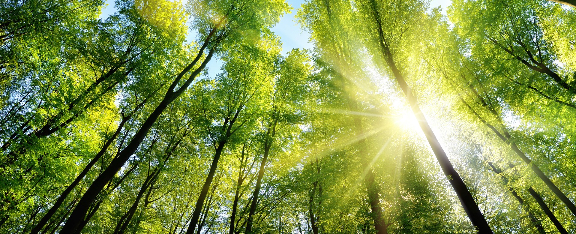 서울산 이편한세상 파크그란데 힐링아파트